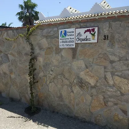 La Orquidea Morada Villa Conil De La Frontera Exterior photo