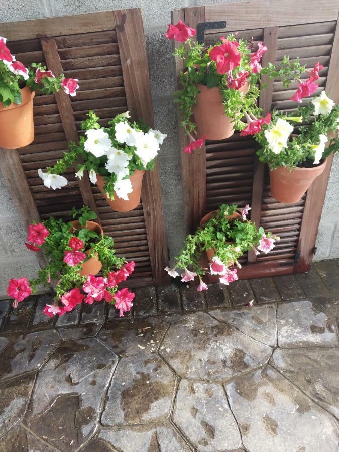 La Orquidea Morada Ferienhaus Conil De La Frontera
